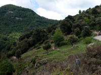 934-DSC03169 ampliada